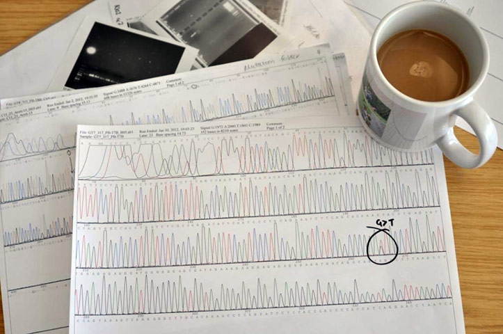 Swansea University : 2012 Research as Art competition