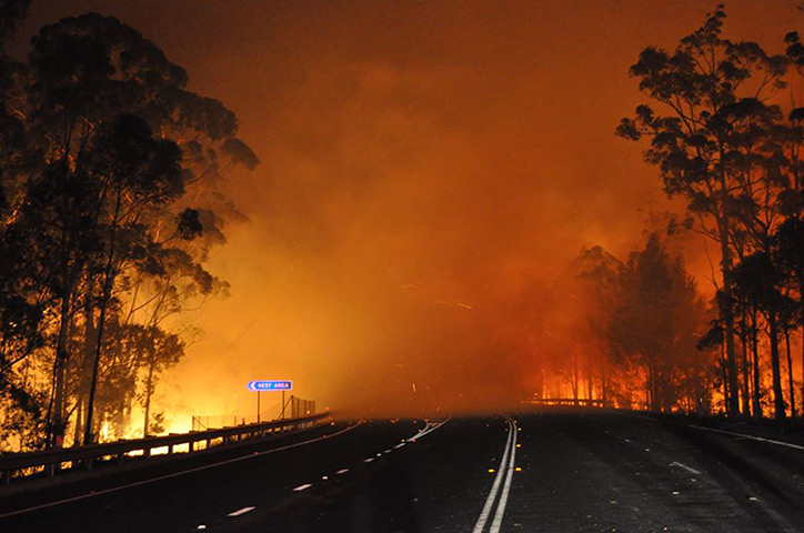 Wildfires Australia: A wildfire crosses the Princes Highway near Deans Gap, Australia