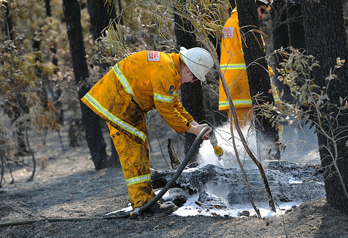 Wildfires Australia: Firefighters douse burning logs from the Deans Gap fire