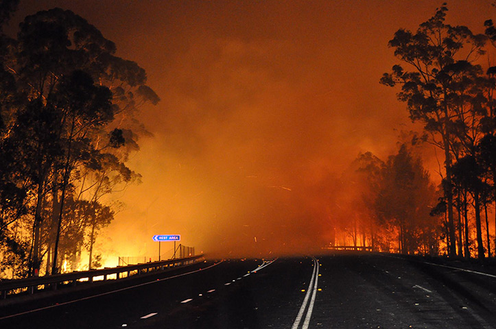 24 hours in pictures: Trees burning and smoke billowing from a fire along the Princes Highway
