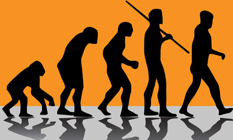 Evolution illustration