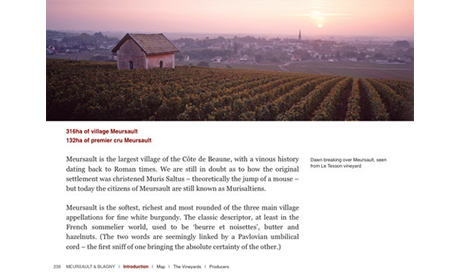 Inside Burgundy iPad ebook