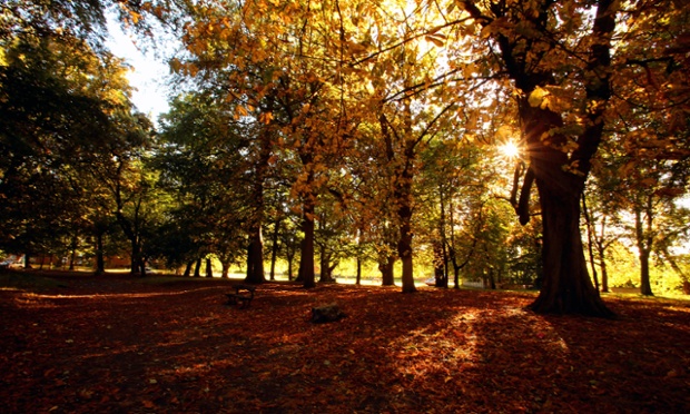 Meanwhile the sun was still shining on the other side of the UK in Sefton Park, Liverpool, making a beautiful display of autumn colour.