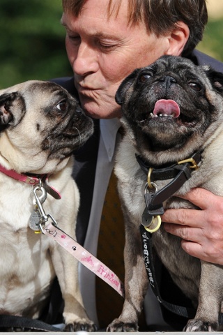 Today's family portrait shows an affectionate gesture between the Conservative MP David Amess and his dogs Lilly and Bo during the 2013 Westminster Dog of the Year competition outside parliament in London.