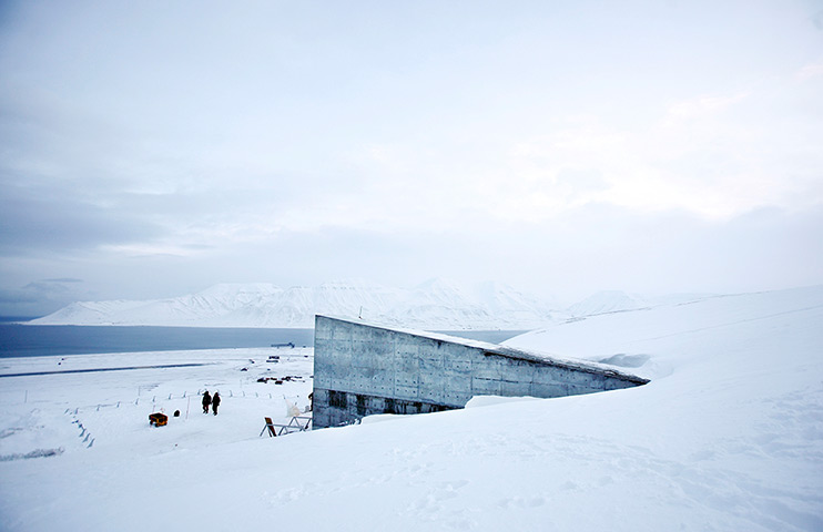 looking back: The Svalbard Global Seed Vault 