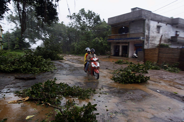 Cyclone: Motorcyclist drives past fallen trees