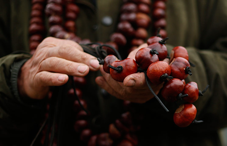 conker championship: World Conker Championships
