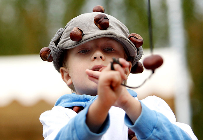 conker championship: World Conker Championships