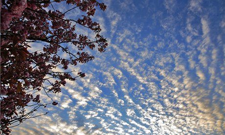 Altocumulus stratiformis Clouds layers