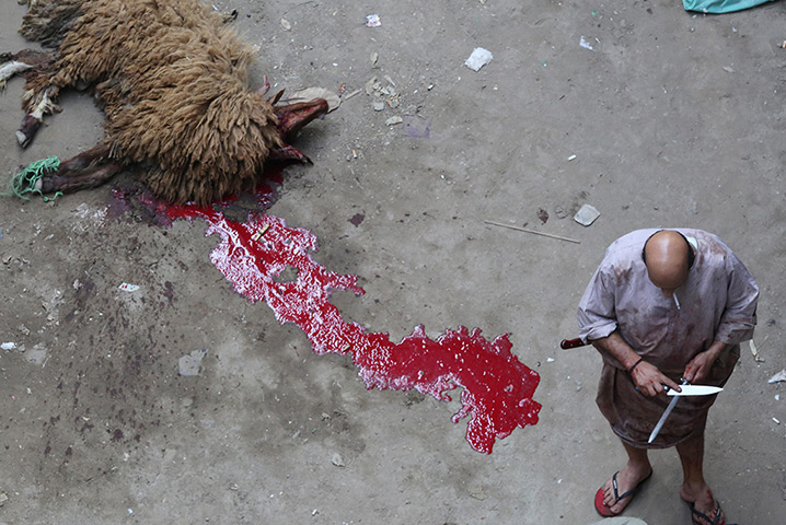Eid al-Adha: A butcher sharpens his knife after killing a ram in Cairo, Egypt
