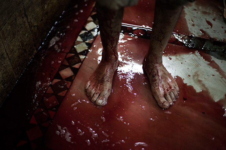 Eid al-Adha: A butcher stands in the blood of an animal sacrificed on the first day of E