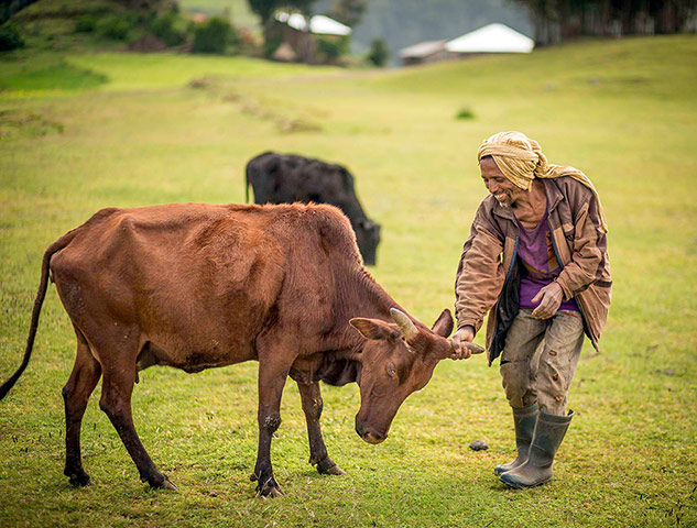 Concern Worldwide: Ethiopia Global Hunger Index Visit