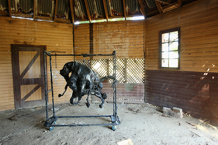 Hidden sculpture walk: 