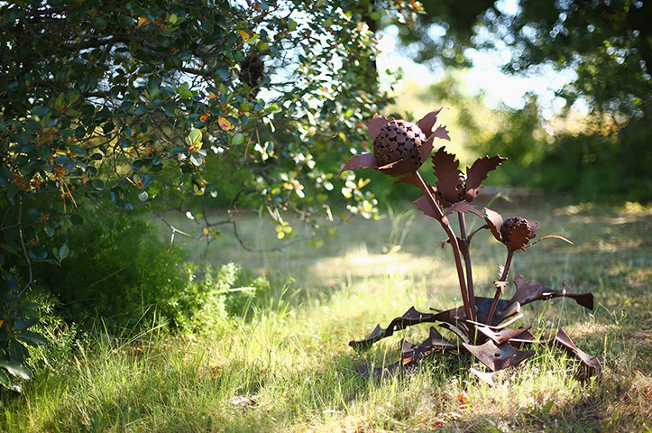 Hidden sculpture walk: 