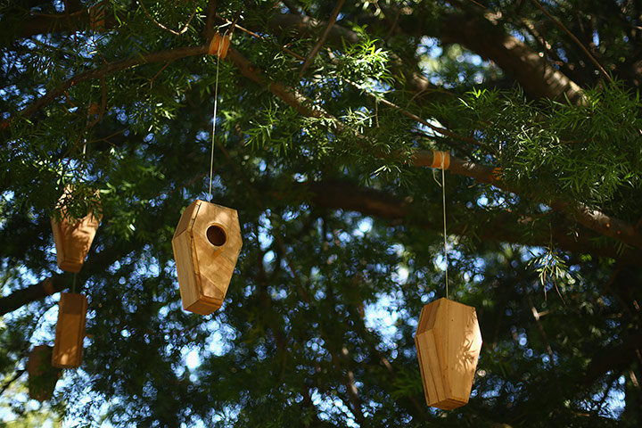 Hidden sculpture walk: 