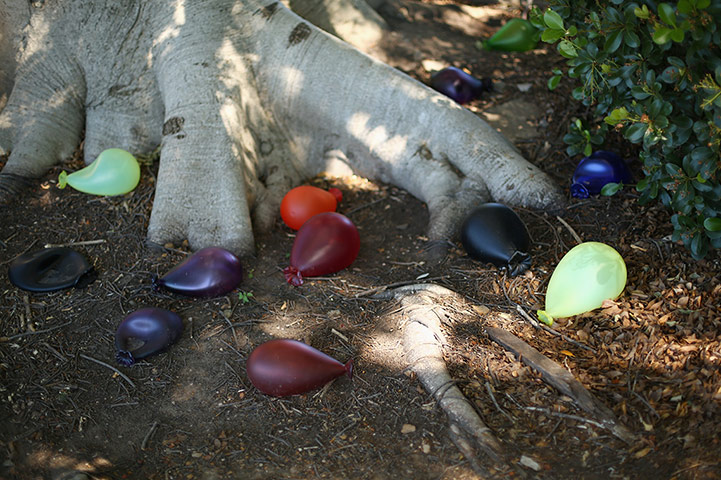 Hidden sculpture walk: 