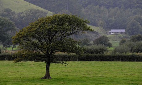 Broadband internet for rural homes through 4G