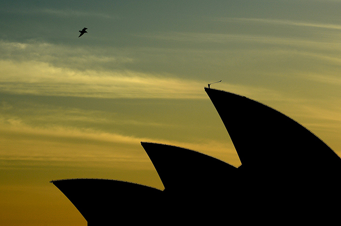 Opera House: Long Alphorn