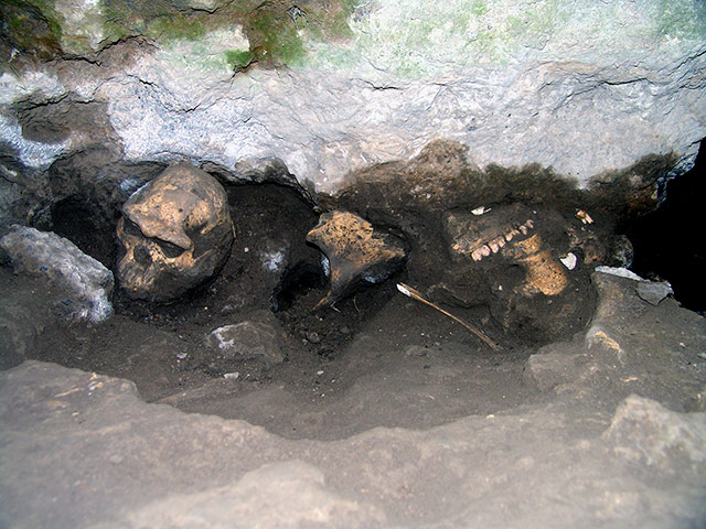 Dmanisi skull: Early Homo Skull Suggests a Single Species