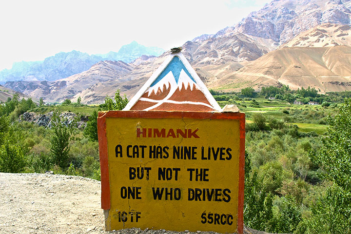 India road signs: A cat has nine lives