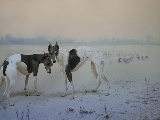 AOP photographers awards: Rory Carnegie