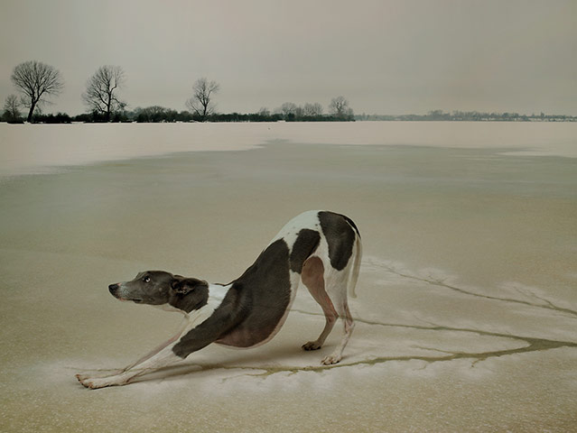 AOP awards: Rory Carnegie