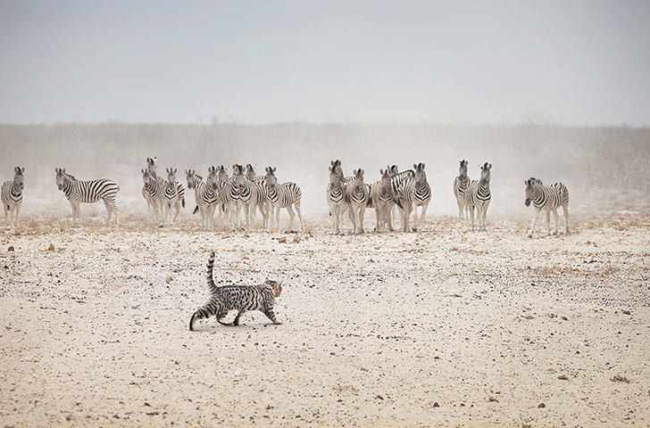 AOP awards: George Logan 