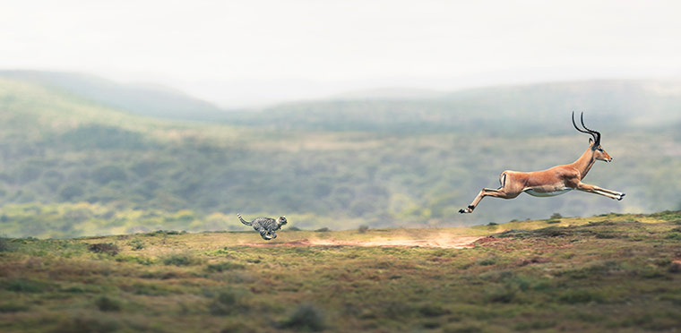 AOP awards: George Logan 