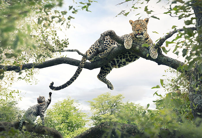 AOP awards: George Logan 