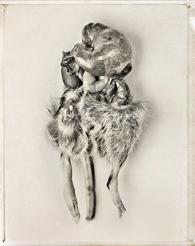 AOP awards: Robert Wilson