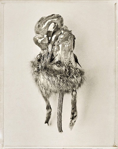 AOP awards: Robert Wilson