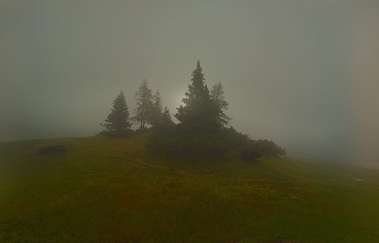 AOP awards: Christian Schmidt