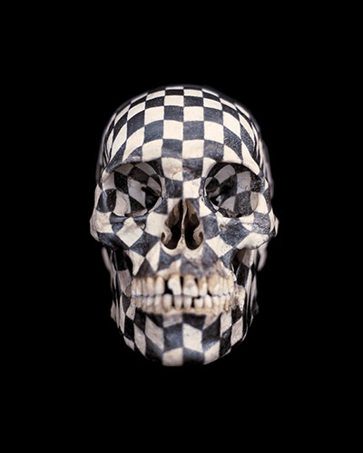 10 best: Black Kites