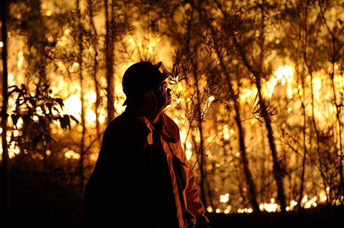 bushfire: New South Wales' RFS fire fighter