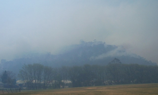 Bush fires witness: Fire burning on a mountain 
