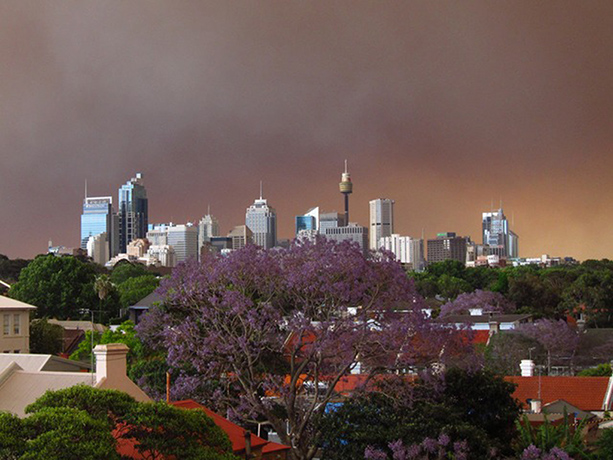 Bush fires witness: Bushfire smoke