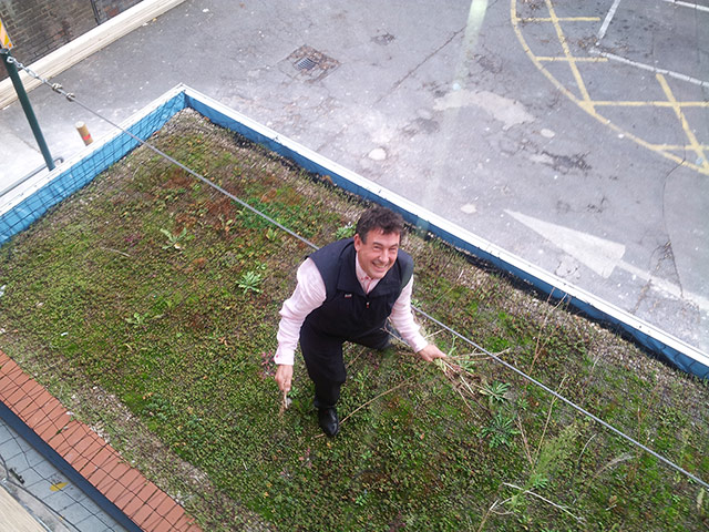 Our Day: Pete Bungard