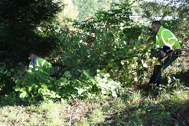 Our Day: man clearing path