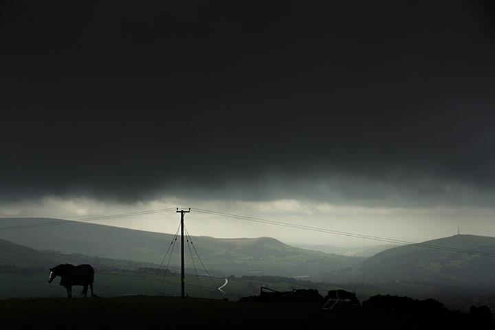 Week in wildlife: autumn rain