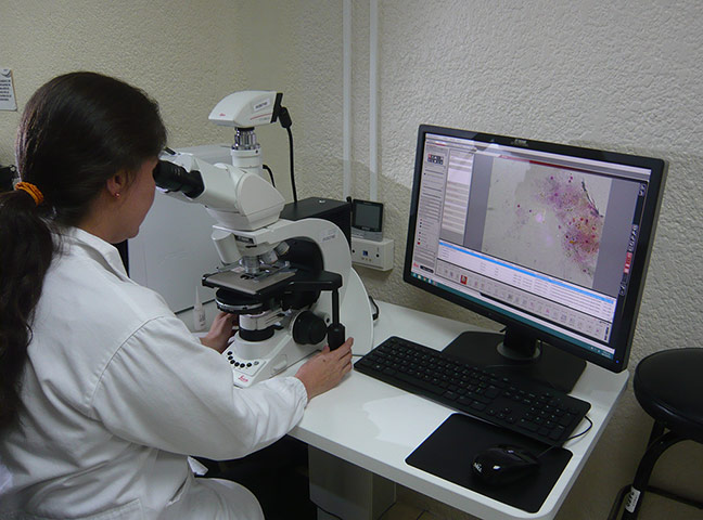 Guatemala: Mark Tran photo diary