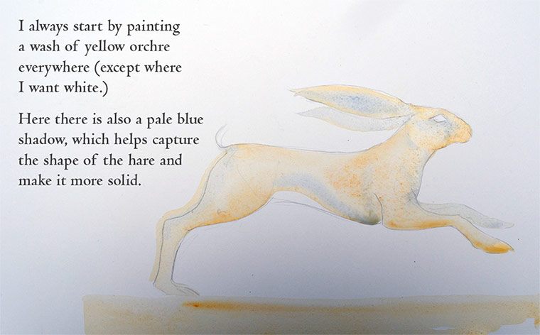How to draw a hare:  