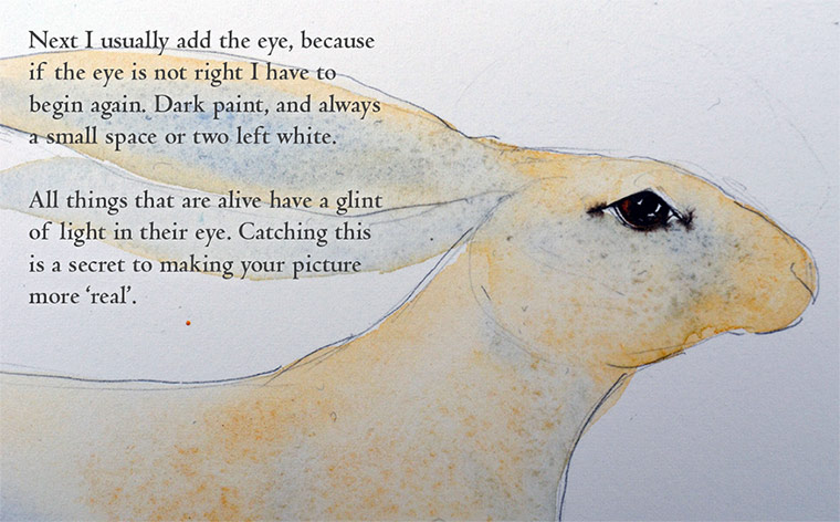 How to draw a hare:  
