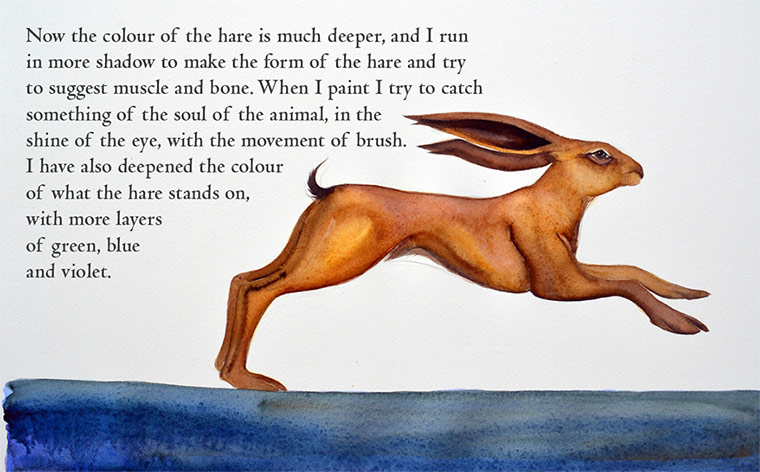 How to draw a hare:  