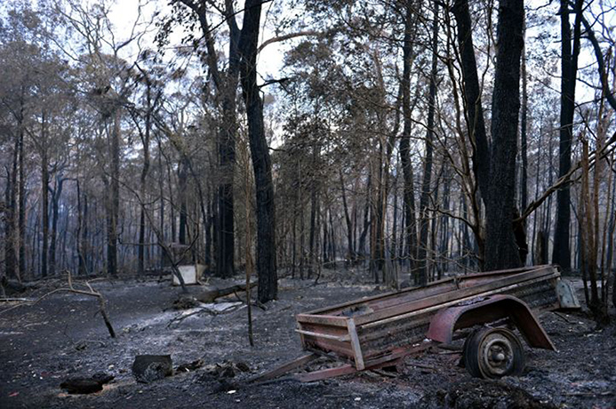 Bushfires Weds: A view of Jennifer Schweinsberg's gutted burnt backyard in Winmalee