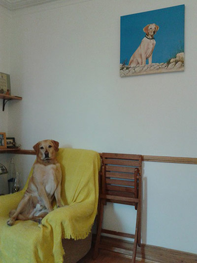 Pet human lookalikes: dog sitting on chair