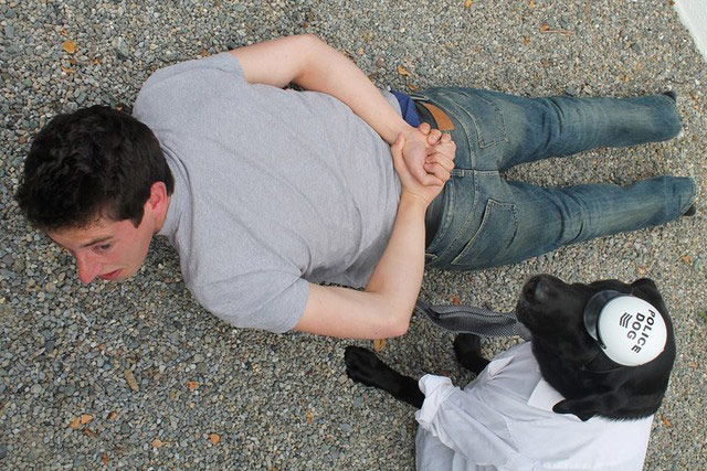 Pet human lookalikes: police dog arrest