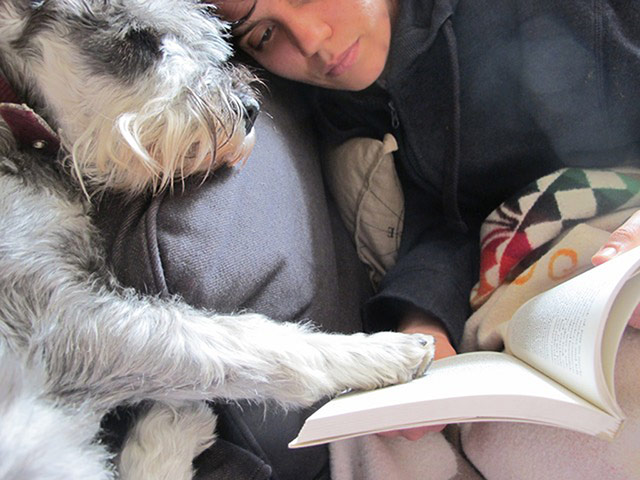 Pet human lookalikes: dog reading bedtime story