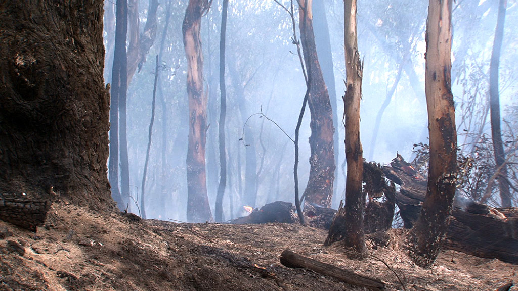 Lithgow bushfire.