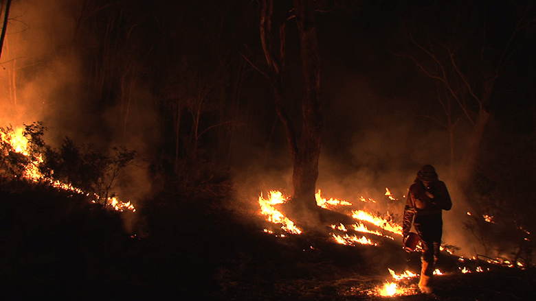 Lithgow bushfire: Hartley bushfire