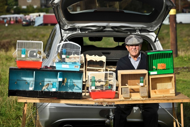Birds for sale, going cheap! A trader is photographed at the Stow-on-the-Wold Horse Fair in Gloucestershire, an event that has existed for hundreds of years where members of the travelling community meet and trade goods.